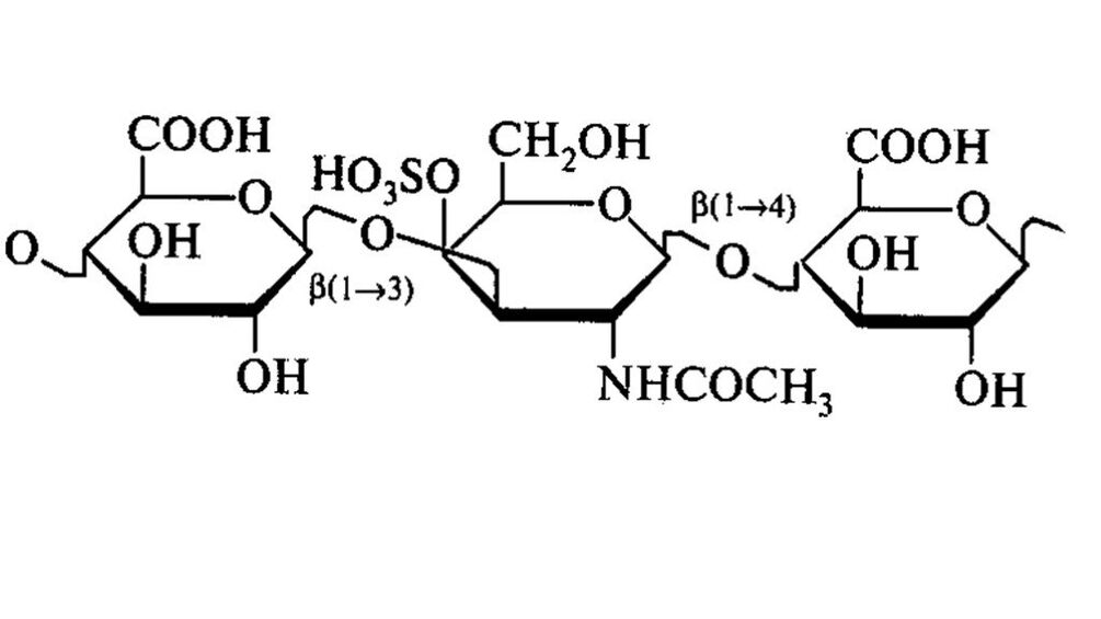 Chondroitín v Osteflexe