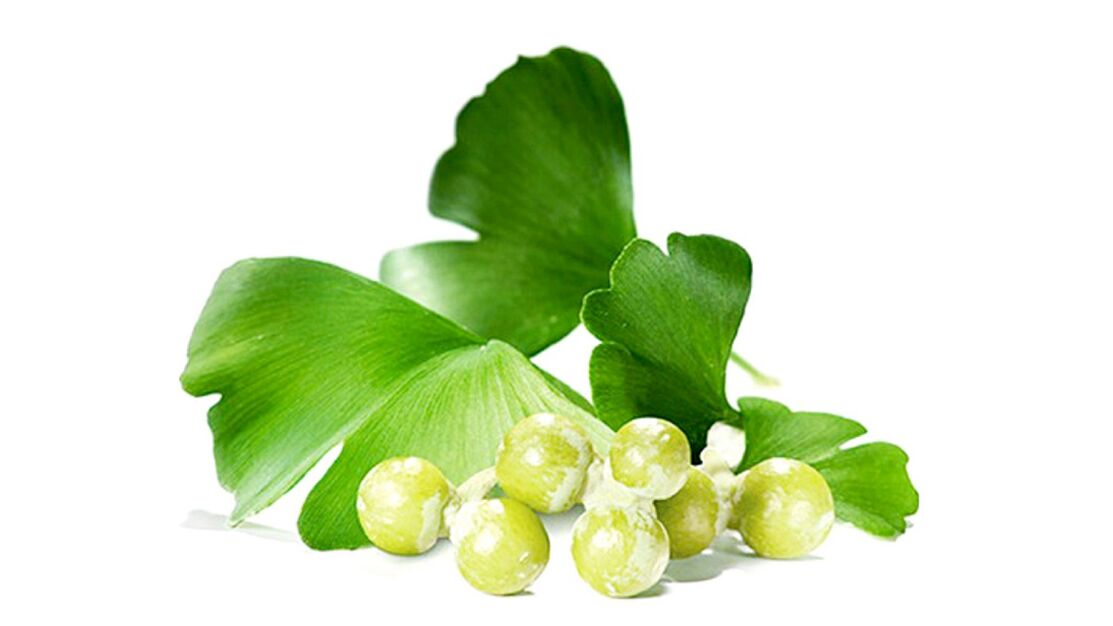 Ginkgo biloba v Osteflexe